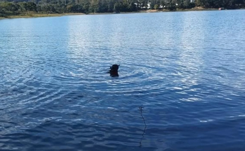 Adolescente e mulher são encontrados mortos em lago de Caldas Novas