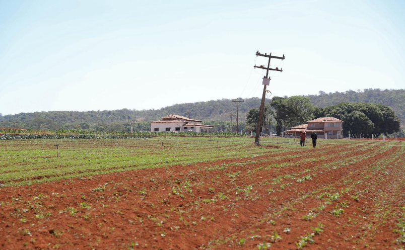 Ocupa uma área rural no DF? Saiba como solicitar a regularização fundiária