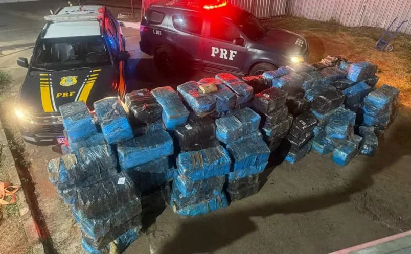 Cães encontram quase 4 toneladas de ‘supermaconha’ escondidas no meio de telhas em Goiás
