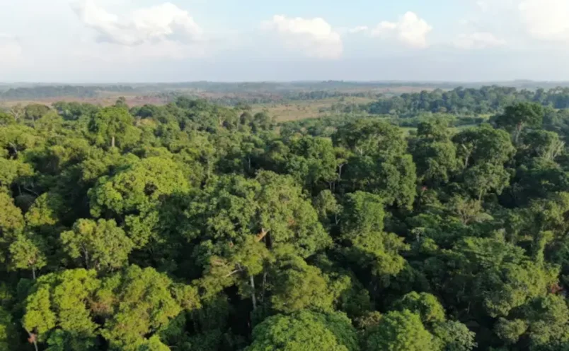 Temperaturas máximas sobem 3,22°C no Centro-Norte da Amazônia fruto da aceleração de extremos climáticos